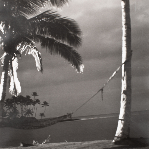 Dark tropical scene with illuminated palm trees in the foreground