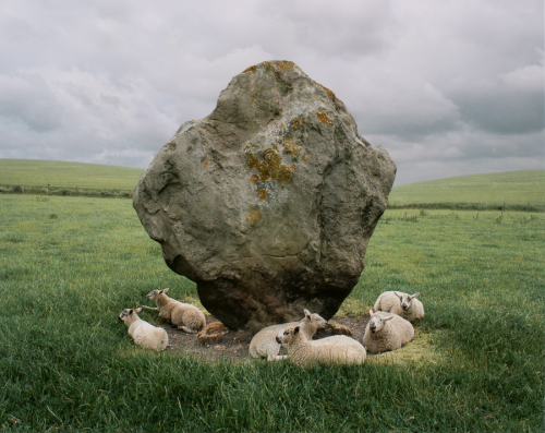 Six white sheep lying down in the shadow of a large freestanding stone in a field of green grass.