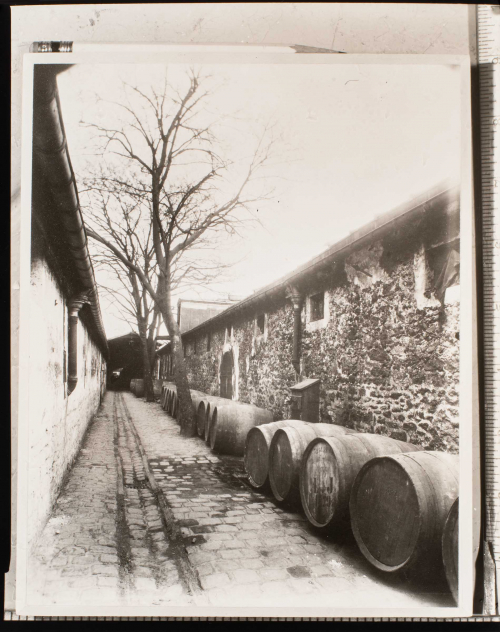 View of alley.  Wall of building on left, building and barrels lying horizontally to the right.  Three bare trees left of center