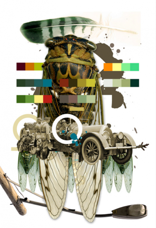 A montage dominated by a cicada and bands of colors (upper center)