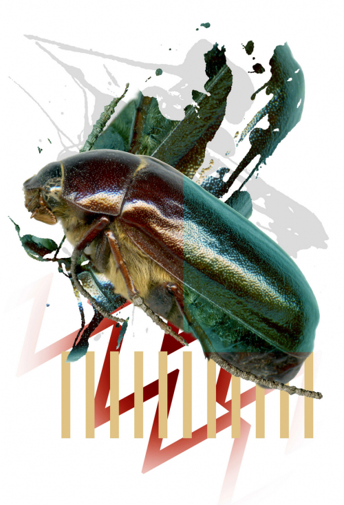 A digital montage dominated by a large iridescent beetle