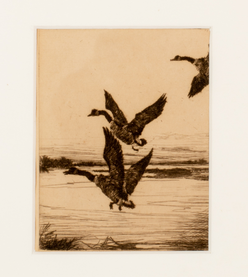 Black fine detailed depiction of geese flying over a body of water; small artwork