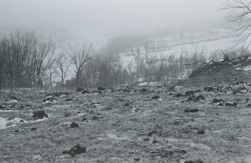 Black and white image of a Snowy and foggy landscape with barren trees