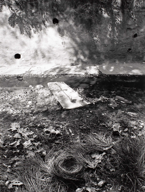 View of bottom of mud wall, stones, leaves, and grass.  Bird nest in center of lower edge.