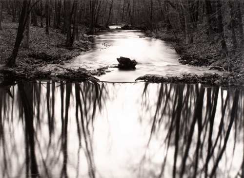 black and white image of a stream in the woods. lower half is soft reflection in the water