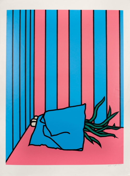Blue napkin-like object appears to cover green, plant-like leaves near a corner of two walls with blue and pink stripes