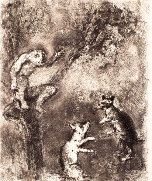  two fox-like animals jumping and playing on the ground and a partly human/animal creature sits in a tree looking down