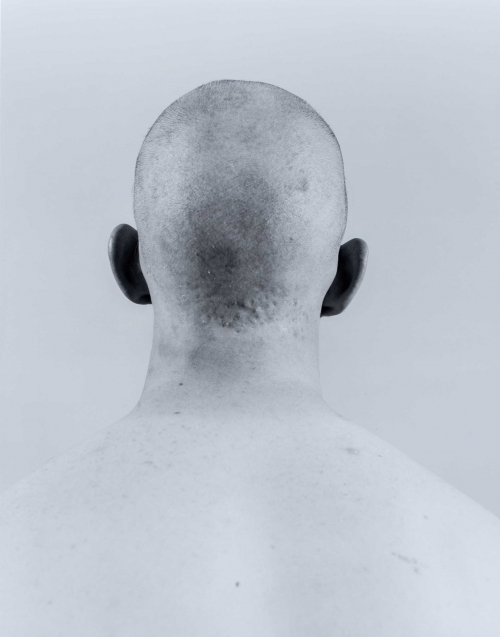 Black and white self-portrait bust of back of the head. The photographer's head is shaved bald and backdrop is light/white