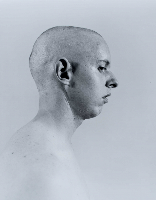 Self-Portrait bust in profile facing right. The photographer's head is shaved bald and backdrop is light colored/white