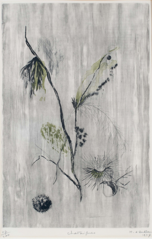 Gray wash background; branch with leaves and pods 