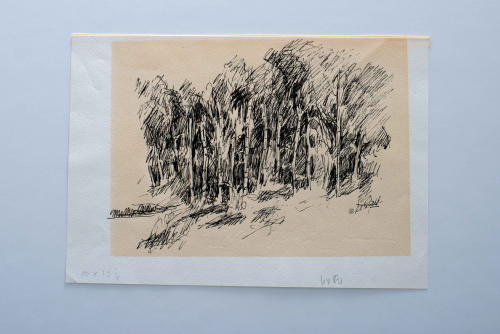An ink sketch of a dense grouping of trees. 