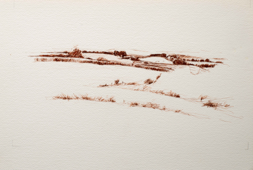 A loose line drawing in brownish orange ink of a grassy landscape