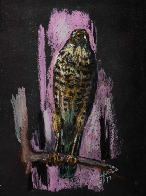 A pastel painting on a black ground that features an elongated hawk perched on a branch in front of a bright purple rectangle.