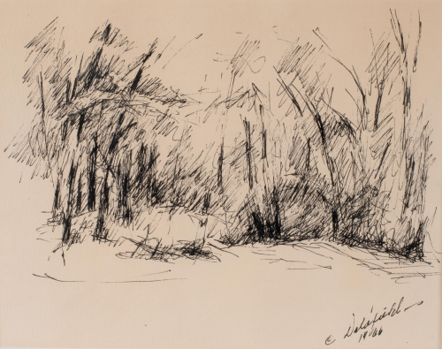 A loose drawing of a stand of trees, possibly birches