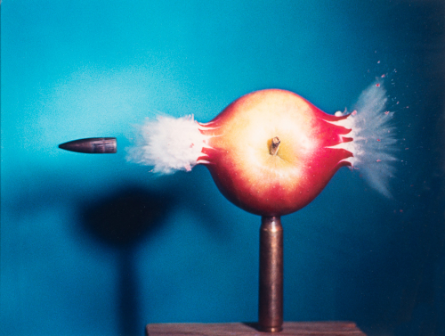 Close-up of apple on tope of skewer with a bullet that has been shot through the apple from the right-bullet is shown to left