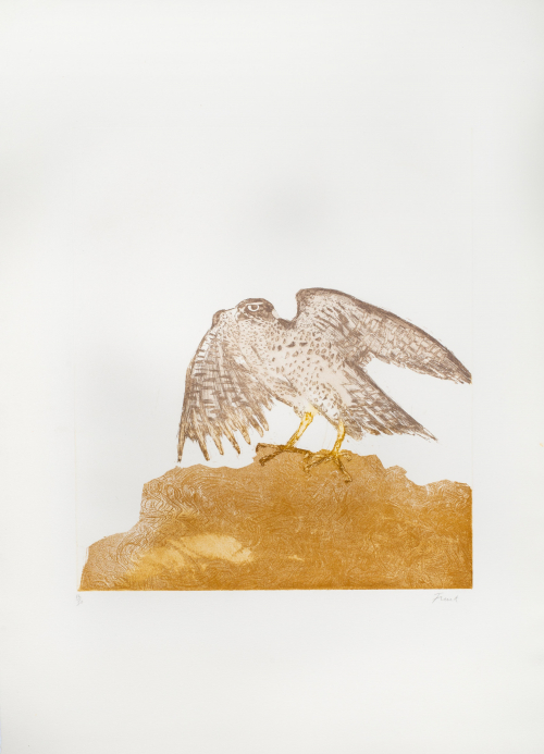 A goshawk printed with grayish brown and yellow-brown ink on a textured light brown ground.