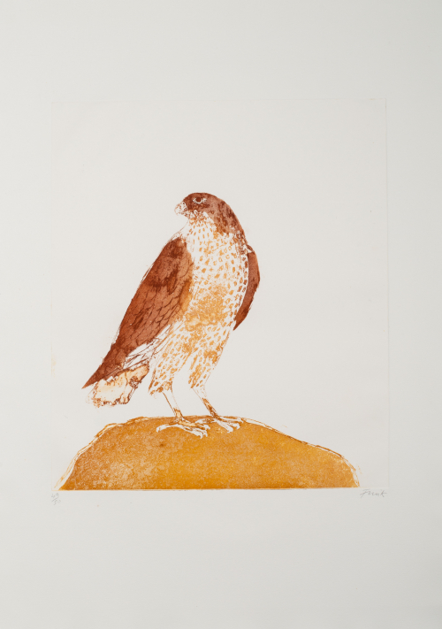 A buzzard inked with different shades of brown on a light brown hump