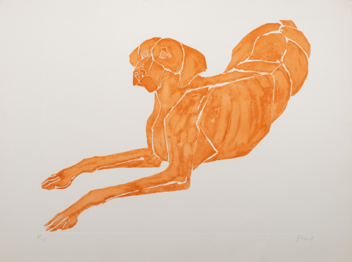 Dog depicted laying down with legs turned to the sides into the background. Both paws are laying out straight 