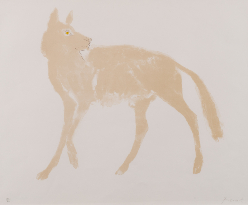 A light tan wolf with yellow eyes on a white background