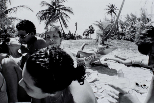 Cluster of people in reclining in bathing suits. Sand and palm trees in background.