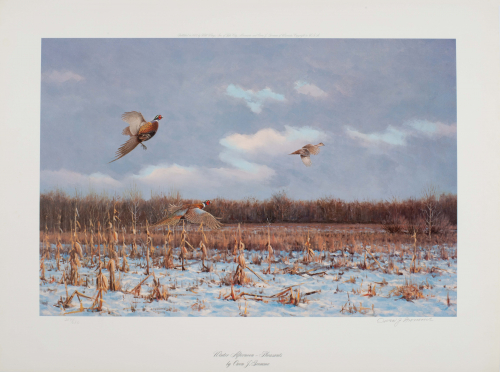 color illustration of Pheasants flying over field in winter