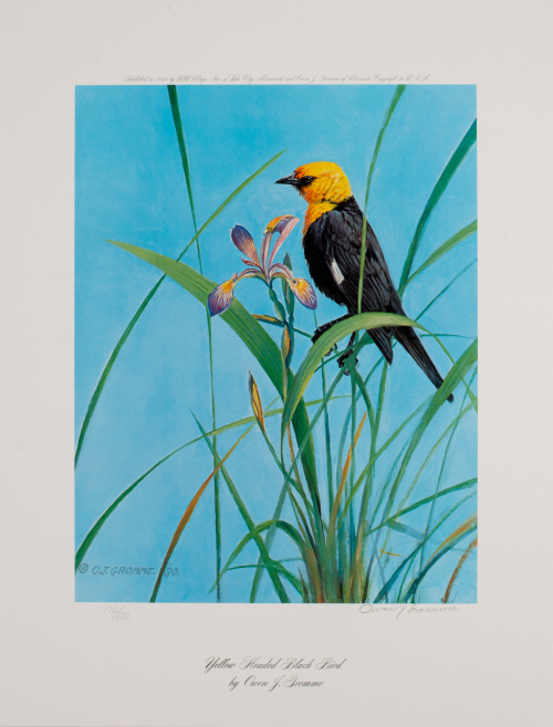 Yellow-headed black bird perched on iris with bright blue sky in background