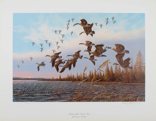 color illustration of geese flying near water