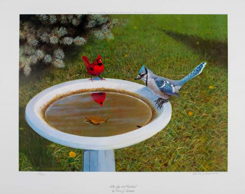 a color illustration of a cardinal and blue jay at a bird bath