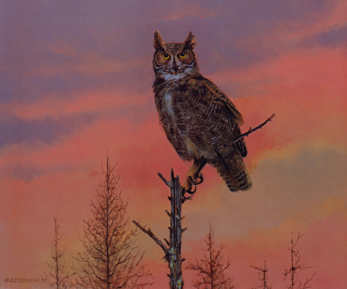 A color illustration of an owl on a branch at sunset. 
