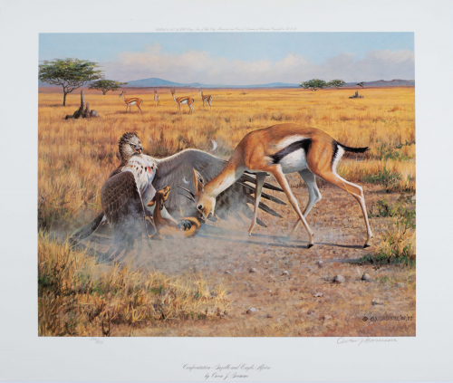 color illustration of gazelle fighting a bird over her baby