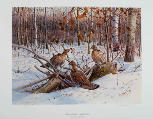 color illustration of birds in a wintry scene