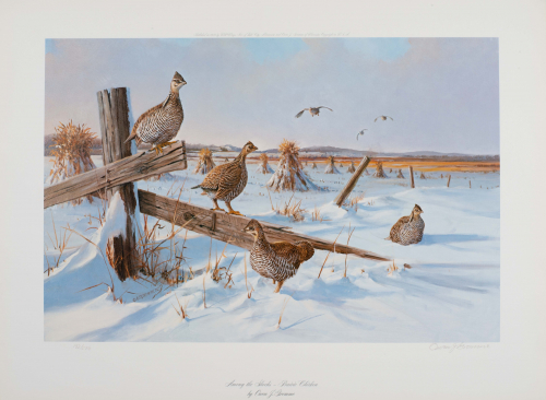 Winter scene with prairie chickens in fencerow with corn shocks behind them.