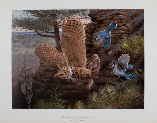 color illustration Two blue jays chasing after an owl, against a mountain backdrop.  