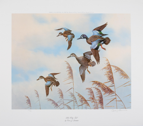a color illustration Ducks flying through a blue sky