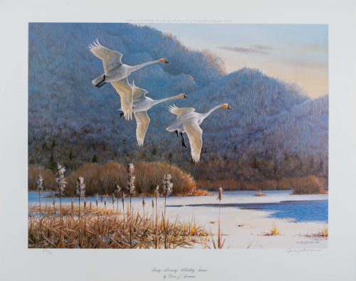 color illustration of swans flying low near water