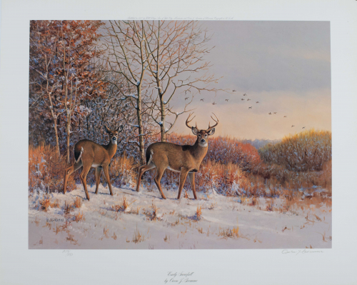 Color illustration of deer in a snowy landscape