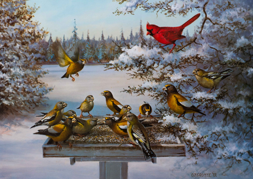 A color illustration of birds eating seeds in a winder scene. 