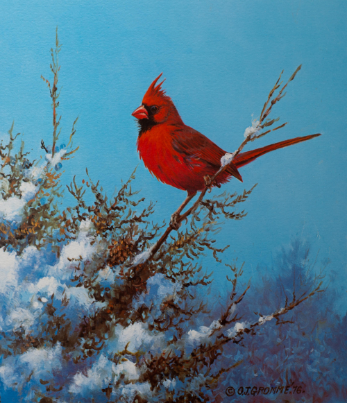 A color illustration of a cardinal on a snowy branch. 