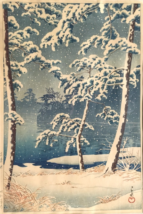Landscape: snow-covered trees
