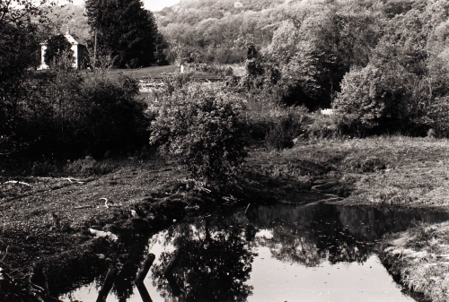 Pond in lower 1/3  of image.  House on horizon in UL.  Statue of Mary to the right of house.