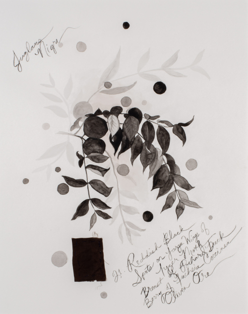 leaves of a black walnut tree, all in silhouette (black) on a white background. Also depicted are circles