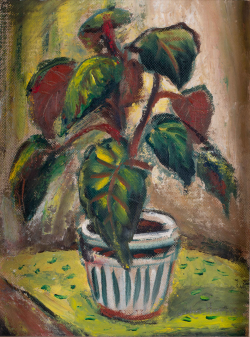 Colorful silhouette of a potted plant with broad, green and red leaves on a lime-green surface