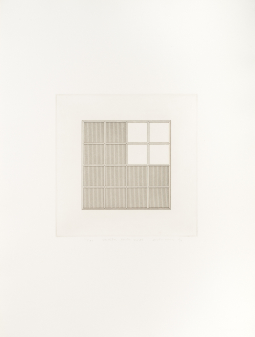 White square with thin black lines making another square inside of it, then broken into sixteen smaller squares with thin lines