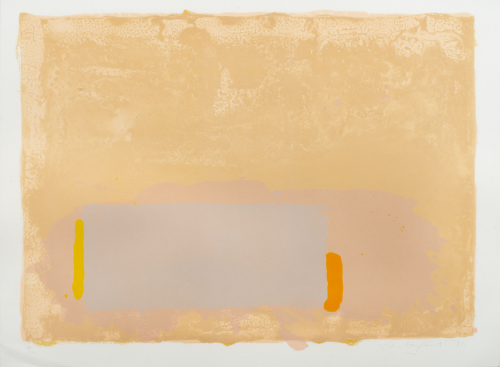 A brown backdrop with a beige blob running along the bottom. Inside the blob is a block of grey with yellow and orange.