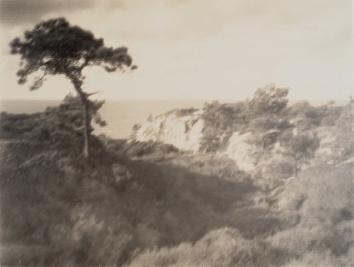 A tree a upper-mid-right on grassy area of cliff, rocky cliff and water in distance 