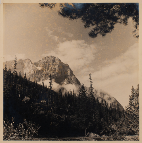 Black and white image of hill and distant mountain in a forested landscape with a slight sepia tone.