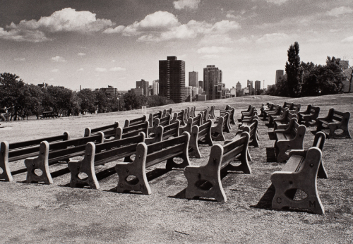 Seven rows of park benches in lower half arranged in curved lines and facing the left side of the image. Grassy area beyond
