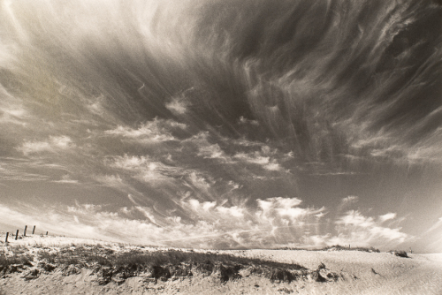 Narrow area of sand and vegetation along lower edge of image. Sky filled with wispy clouds