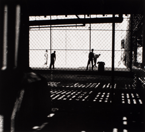 Figures around center of image facing away from viewer and in various poses. chain-link fence in foreground