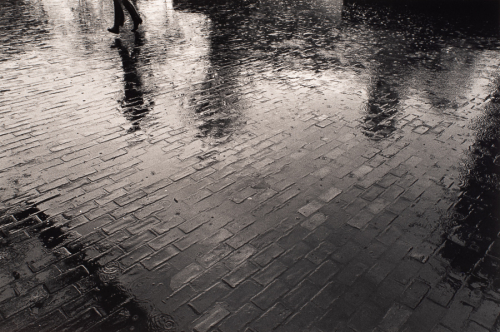 Steep view of wet, brick street whose bricks are seen in diagonal rows. A pair of feet is visible, coming into picture plane